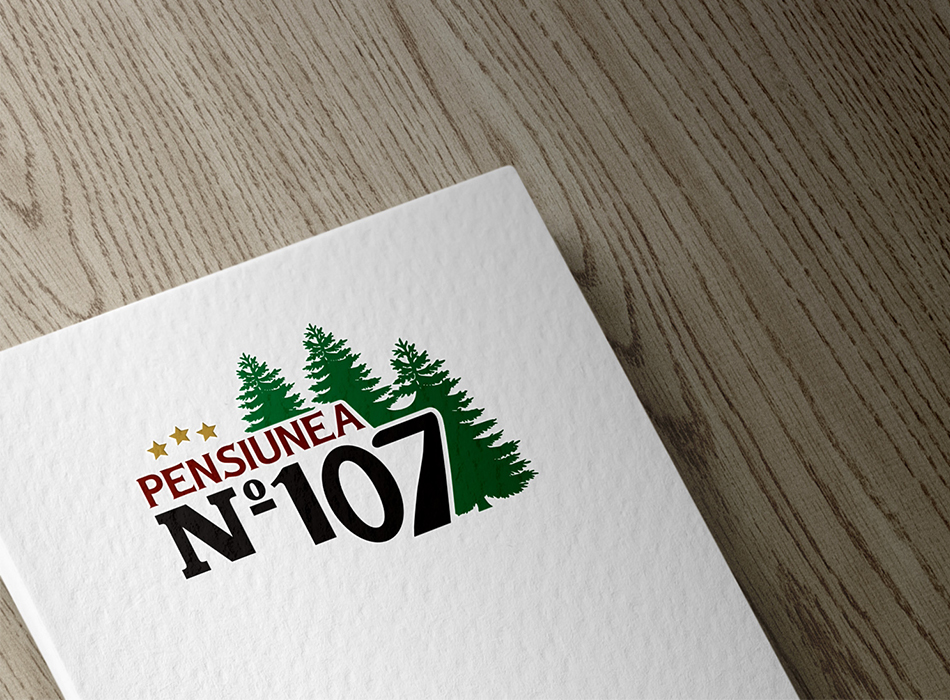 pensiunea-no-107-logo-design-simulare-coperta-caiet