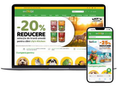 Animax: Building a Long-Term Digital Success Story