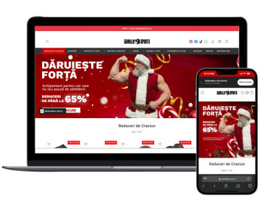 GorillaSports: A Two-Year Digital Transformation Journey