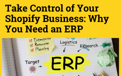 Why every serious Shopify store owner needs an ERP System?