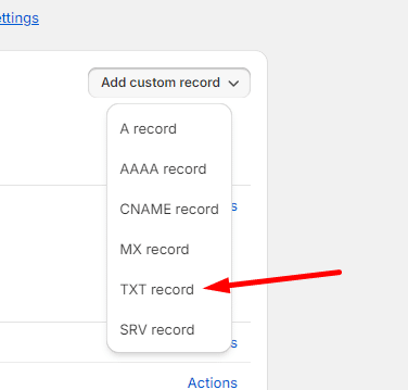 Adding Custom Record and selecting TXT Record