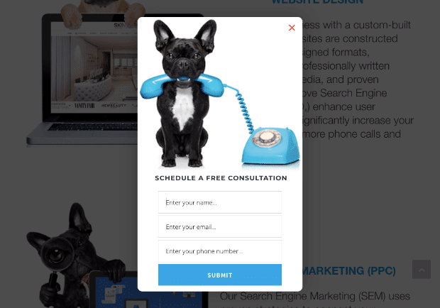 Clear Call to Action for Your Email Popup - example